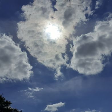 tsa_PhotoClubHomeLearning (56)